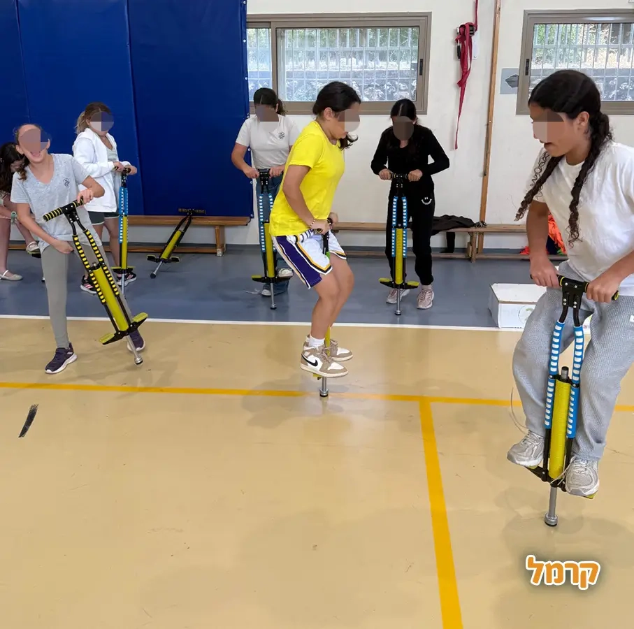 פיגוזיאדה  - 073-7585016